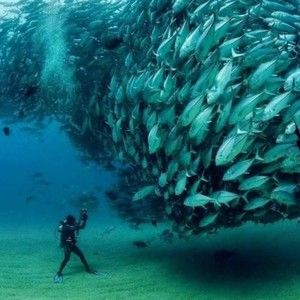 Meet your Posher, Kerry